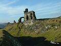 Dinas Bran 5